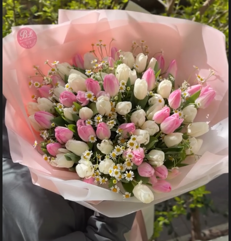 Tulipanë elegantë