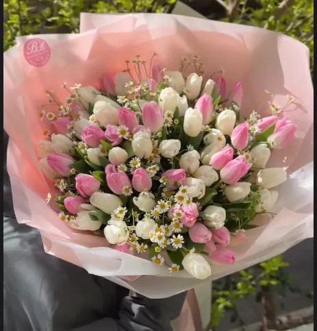Tulipanë elegantë